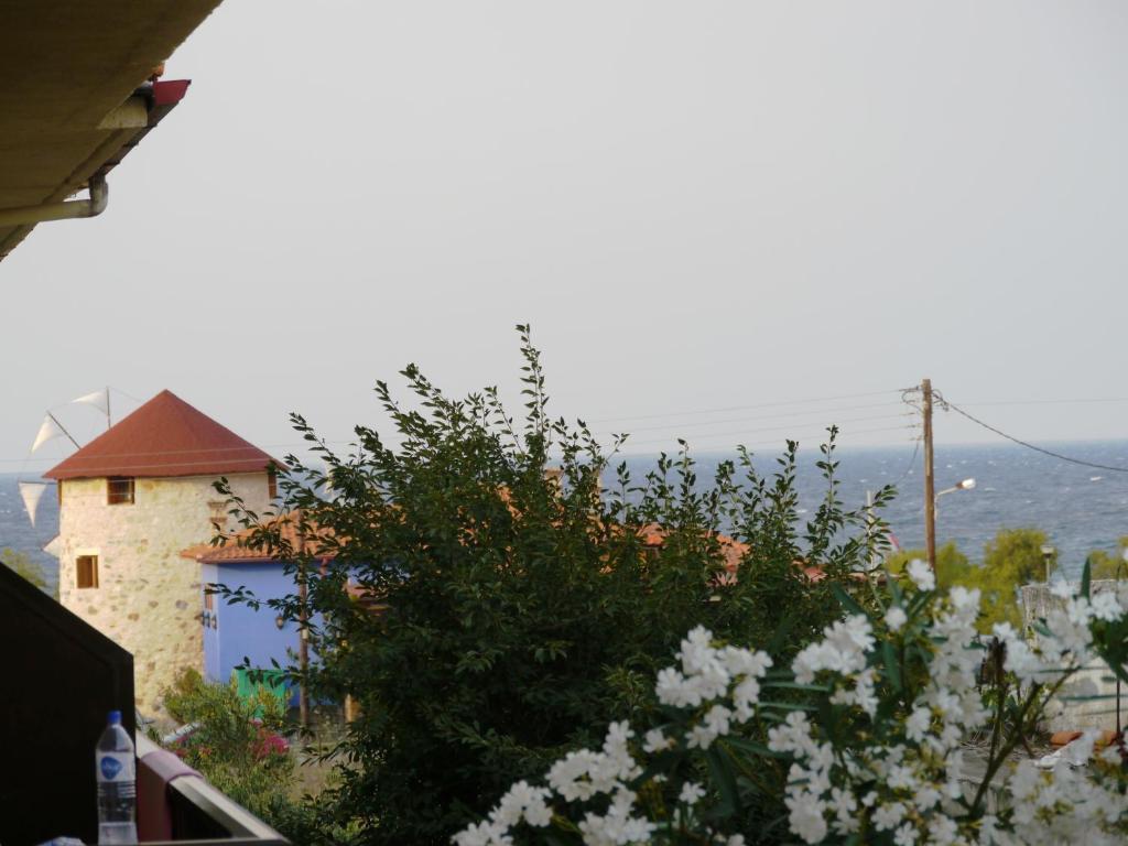 Hotel Markos Ierissos Rum bild